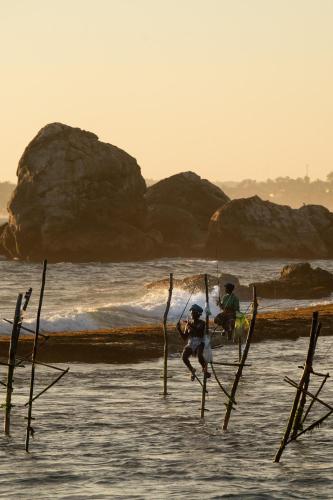 THE ISLaNDERS - image 3