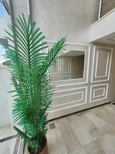 Cozy Appartment In Shmessani - image 4