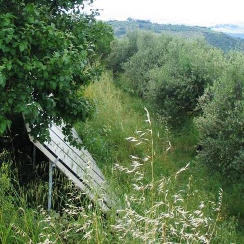  Wohnung auf zwei Etagen mit Studio und mit Balkonblick ins bergige Grüne in Monte Vibiano Vecchio