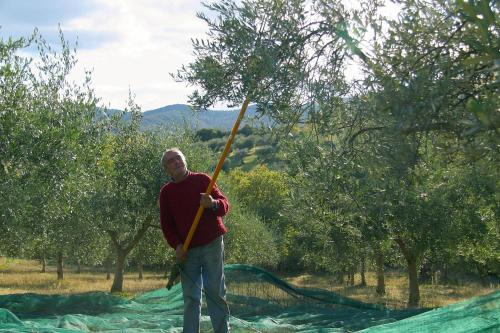  Wohnung auf zwei Etagen mit Studio und mit Balkonblick ins bergige Grüne in Monte Vibiano Vecchio