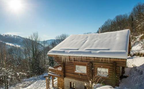 Chalet Les Lucioles, La Bresse 14p - SPA
