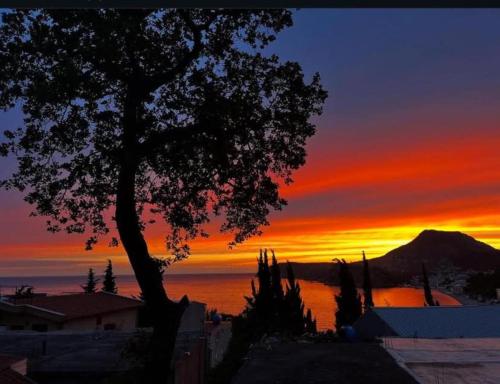 Utsikt, Apartments in villa Viktoria in Sutomore