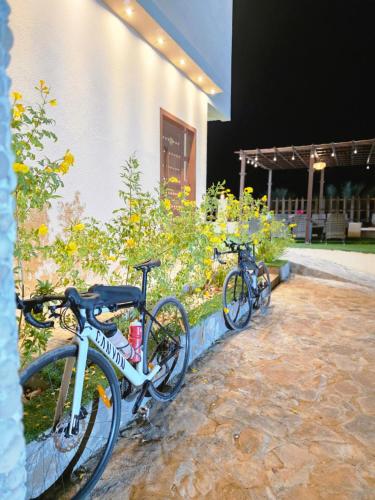 Wadi Bani Khalid Guest house in Tiwi