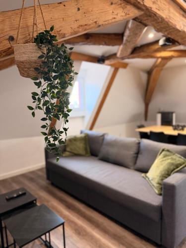 La cotonnade - Entre vignes et ville - Location saisonnière - Wintzenheim