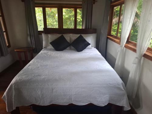 Casita Manakin in Los Planes