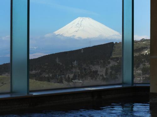 富士箱根樂園Schole廣場酒店(Fuji Hakone Land ...