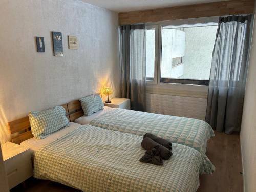 Super central - appartement 2,5pcs à Leukerbad, Leukerbad (fotografie 6)