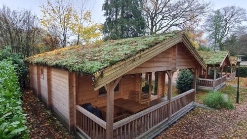  HderH - Eco Lodge op vakantiepark De IJsvogel, zwembaden, kids fun, natuur en rust in Voorthuizen