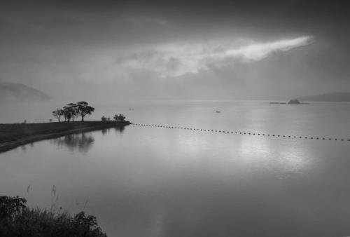 周辺案内, ダーハン ゲスト ハウス (Dahan Guest House) in 南投県