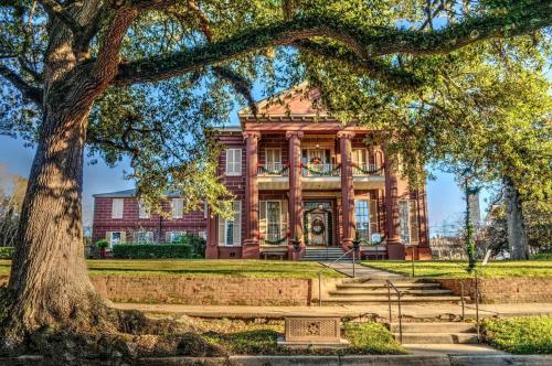 Magnolia Hall - Henderson Suite - King Suite - image 3
