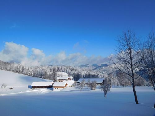 Urlaub am Bauernhof Blamauer Köhr - Hotel - Göstling-Hochkar