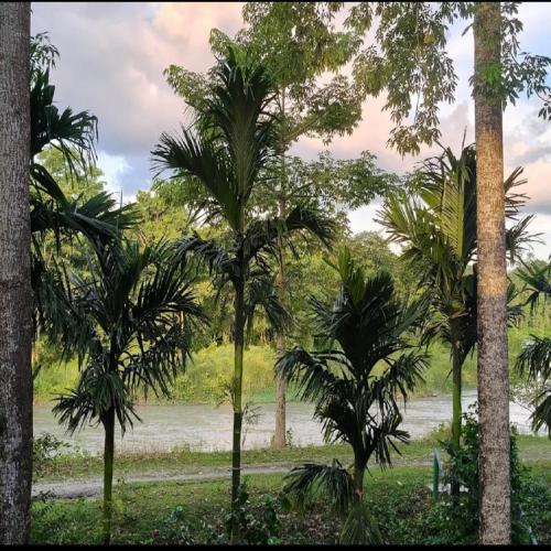 Vaade, Sisamara Forest Bliss Homestay By StayApart in Jaldapara