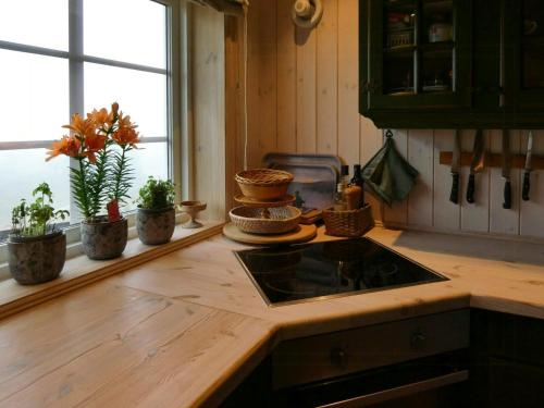 Exterior view, Timber Cabin In Sjusjøen in Sjusjoen