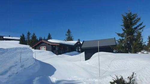 Exterior view, Timber Cabin In Sjusjøen in Sjusjoen
