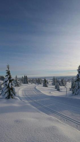Exterior view, Timber Cabin In Sjusjøen in Sjusjoen