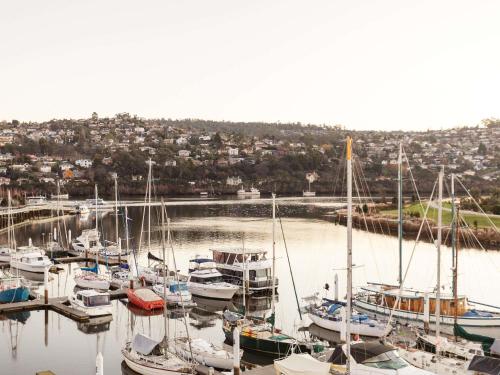 Luxury Marina View Suite