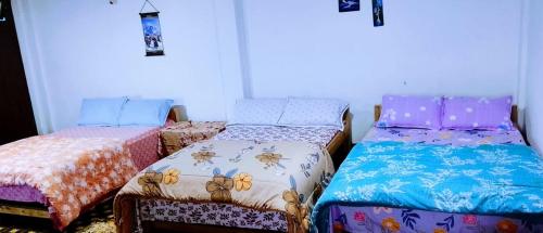 Lama homestay in Hillside