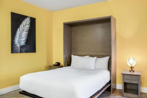 1 queen bed
