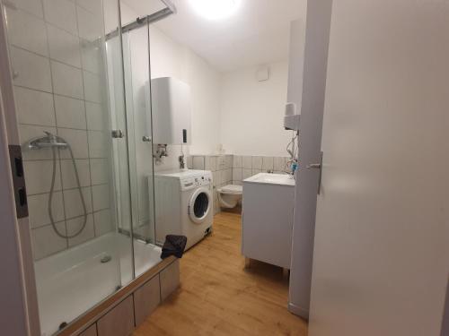 Duša, 1ZimmerWohnung, Küche, Bad, Fewo3 Rupertsberg (1ZimmerWohnung, Kuche, Bad, Fewo3 Rupertsberg) in St. Georgen