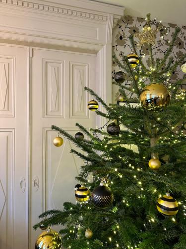 Boutique Hotel Des XV - Hôtel - Strasbourg