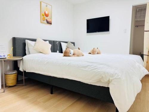 Shinagawa City 荏原101-SN0479