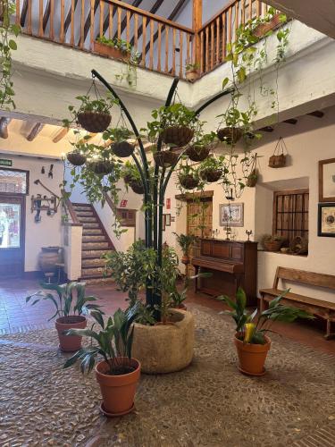 何塞艾爾騰普蘭尼洛旅館 (Posada de Jose Mª El Tempranillo) in 莫利納