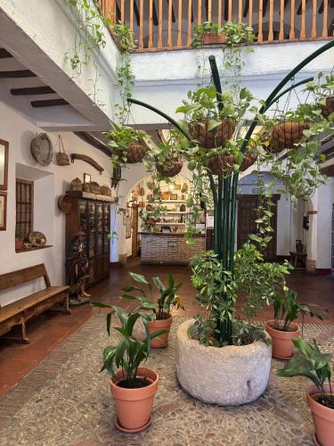 何塞艾爾騰普蘭尼洛旅館 (Posada de Jose Mª El Tempranillo) in 莫利納