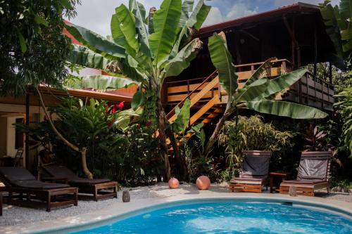 Samara Chillout Lodge - Adults only
