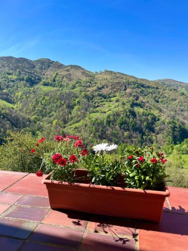Vivienda Vacacional en la montaña (Vivienda Vacacional en la montana) in Rozadas