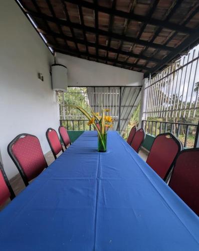 Facilities, Andy Home Stay, Balapitiya in Hikkaduwa