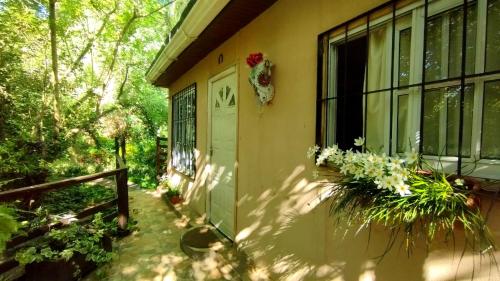 Exterior view, Entre Arboles in Barrio Cuyaya