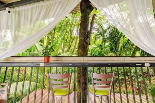 Rio Danta Hostel in La Fortuna