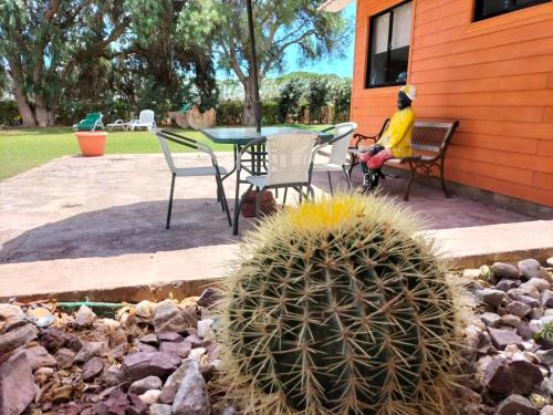 Oasis y canto de pájaros Piedra Colgada Copiapó