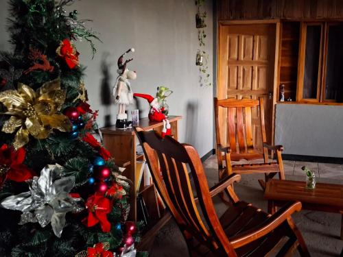 ORÍGENES Guest House (ORIGENES Guest House) in 샌 주안 델 수르