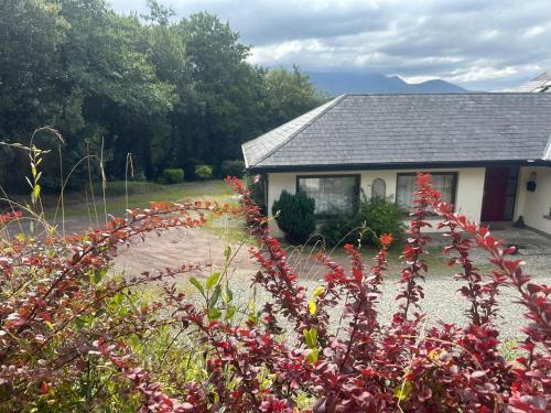 Modern 4 Bedroom House Ring of Kerry -Killarney in 基拉尼郊區