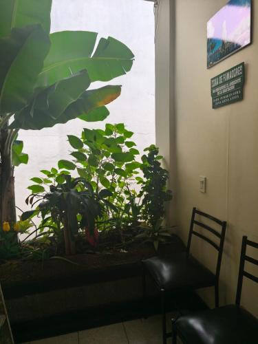 La gran mansión en el centro de Pereira – Pereira, KS