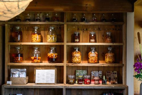 cofunia - Five Elements Retreat on the Yamanobe Trail