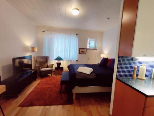 Cozy Nordic Studio in the Heart of Helsinki in Pasila