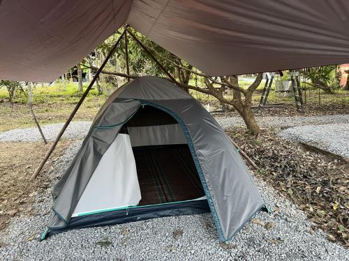 เต็นท์ (Tent)