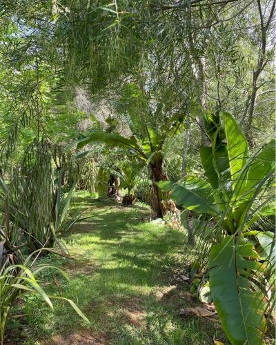 Garden, Sub Tropical Paradise Retreat in Whangaroa