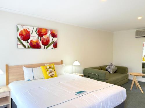Beachcomber Motel and Apartments Apollo Bay Room Type - Standard Studio
