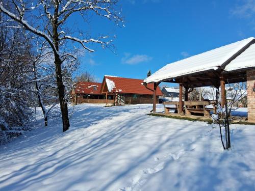 Bakina iža
