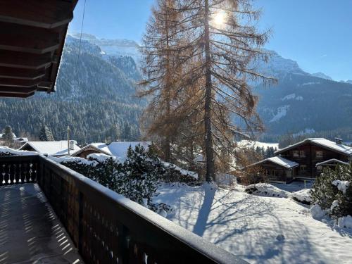 View, Chalet familial Rose de Noel in Les Diablerets