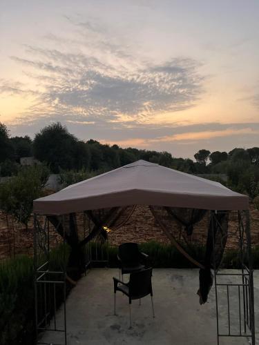 Facilities, Pine Country Farm Stay in Ajloun