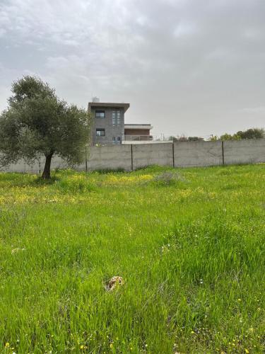Pine Country Farm Stay in Ajloun