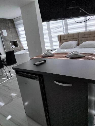 Lela lux - Apartment - Jošanička Banja