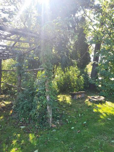 Birsalmafa Vendeghaz in Bajánsenye