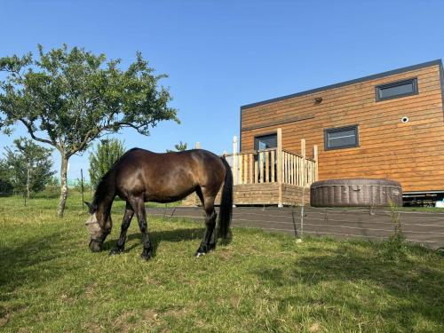 La Tiny du Rougy gîte à louer Omelmont