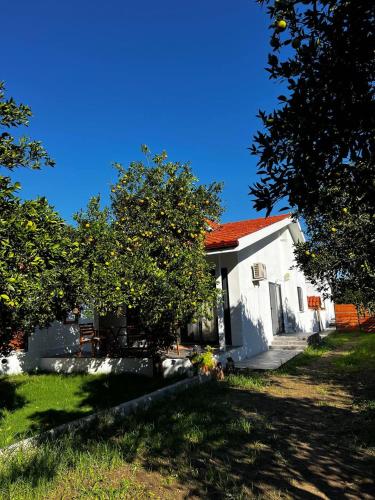 Citrus Guest House – khách sạn tại Gokbel