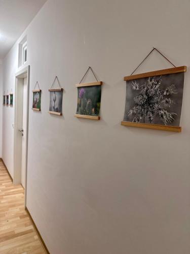 Nest76 in Karlsruhe, Deutschland